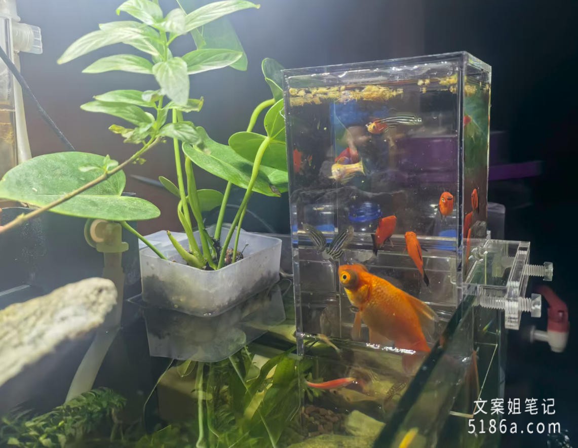 是冬天来了吗?突然感觉夏天过完了插图3 是冬天来了吗?突然感觉夏天过完了插图3